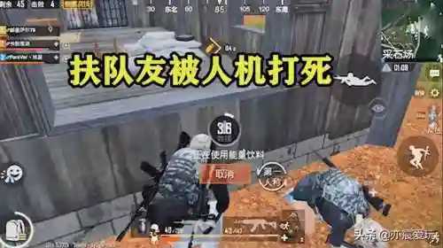 青铜人机搭配什么阵容(马云禄阵容搭配)插图7