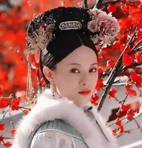 皇后战队阵容搭配推荐最新(女皇陛下最佳配合阵容)插图2