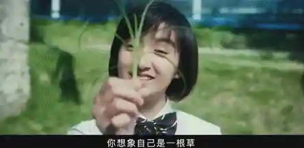 咸鱼之王少男阵容搭配(咸鱼之王8210阵容攻略)插图4