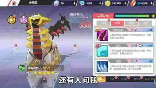 口袋重制 阵容怎么搭配(口袋重制龙队阵容)