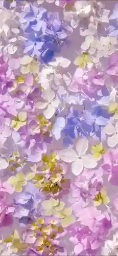 动态锁屏壁纸(动态壁纸免费下载)插图9