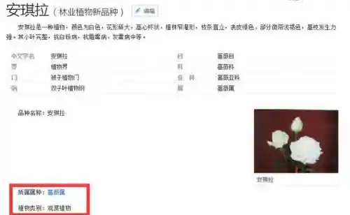安琪拉是哪个历史人物(王者荣耀安琪拉原型是谁)插图1