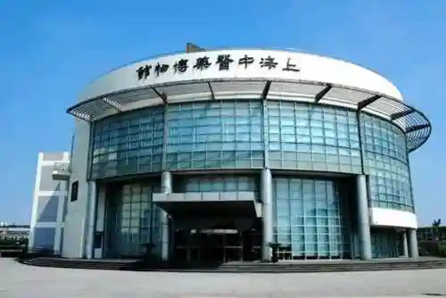 4050华佗的阵容搭配(华佗适合什么阵容)插图15