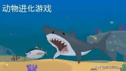 孢子2生物进化中文版(孢子进化5手机中文版下载)