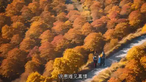 时光恋人回城搭配阵容攻略(时间之钥阵容最佳搭配建议)插图1