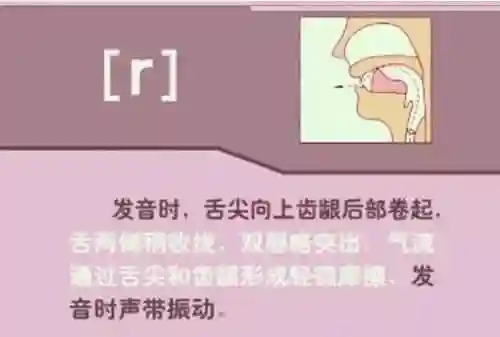 英语音标发音表(48个音标大全表图片)插图43