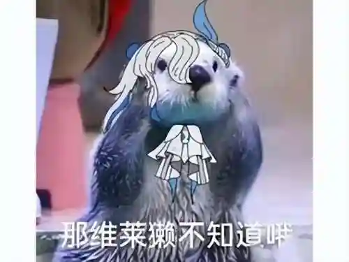 梦幻咸鱼王阵容搭配(梦幻平民玩什么职业最省钱)插图7