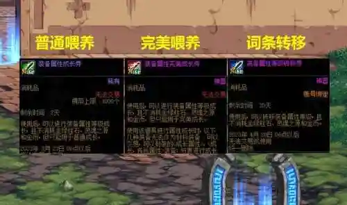dnf装备完美成长券怎么用(DNF装备成长券哪里购买)