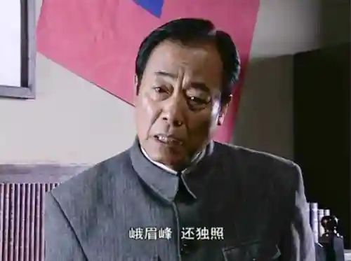 三十部优秀谍战剧(2024谍战剧排第一名)插图65