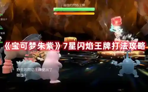 闪焰王牌阵容搭配(闪焰王牌固执还是爽朗)