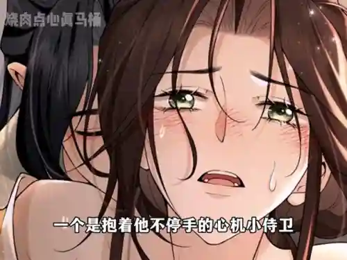 凤凰心计侍卫阵容搭配(宫廷计最强阵容搭配)