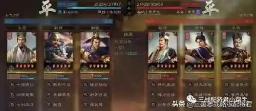 恶狼搭配阵容推荐王者英雄(狼狗怕什么英雄)插图8