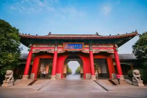 梦幻修业点经验计算器(召唤兽升级修业点计算器)插图38