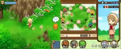 牧场物语坐船去别的小镇(牧场物语娶第二个老婆)插图21