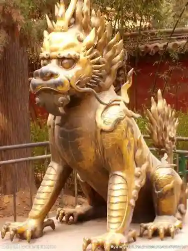火麒麟图片(火麒麟的寓意和象征)插图8