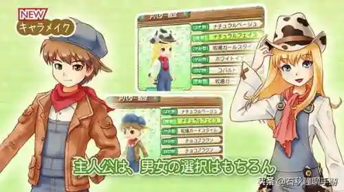 牧场物语坐船去别的小镇(牧场物语娶第二个老婆)插图25