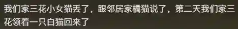 赏金猎人猫咪阵容搭配(赏金猎人阵容怎么运营)插图16