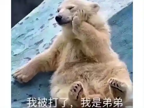 达纳斯 托尔贝恩(托尔贝恩符印 后续)插图8