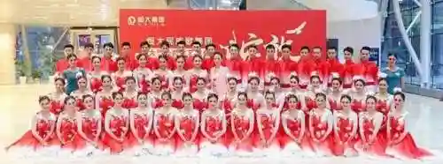 炫舞星光阁搭配阵容(炫舞炫宠战棋最强阵容打法)插图5