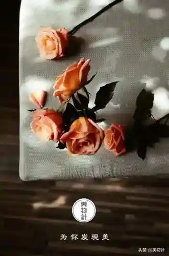 最近很火的歌曲(网络最红的二十首歌曲)