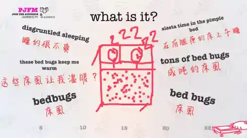 100个你画我猜题目配图(看图猜字40个图答案)插图3
