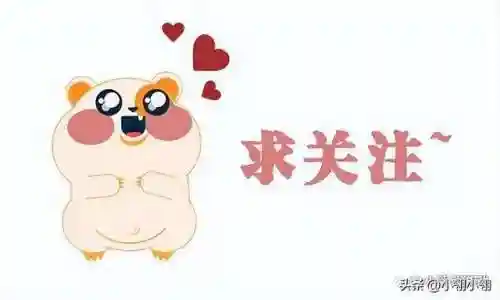 暗黑游戏流派搭配阵容图(暗黑风格游戏)插图5