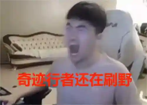 奇迹行者阵容搭配攻略(旅行者主c阵容)插图5