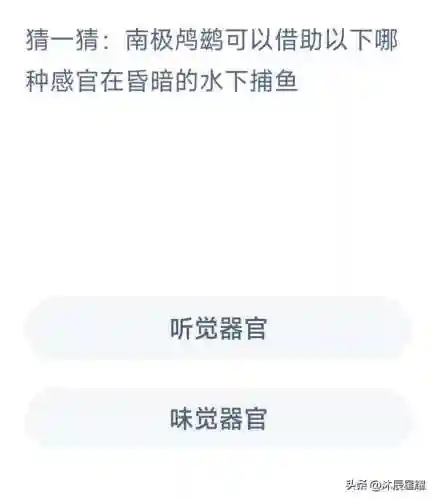 今天的小鸡答题正确答案是什么(蚂蚁庄园今日正确答案怎么获得)插图8