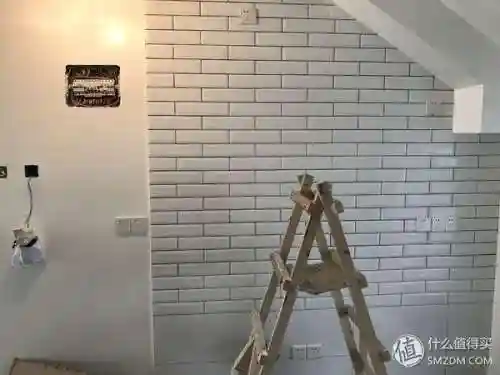 洛克号储物仓的宠物怎么捕捉(洛克号储物仓百科)插图27