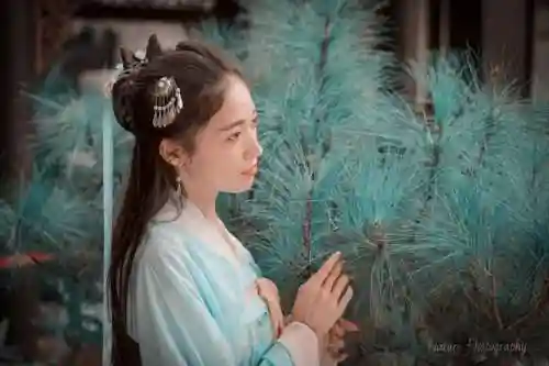 天龙之我是段誉(天龙戏花丛之虚竹刀白凤)