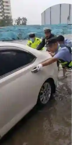 上古战龙2021在哪超进化(上古战龙超进化结束了吗)插图11