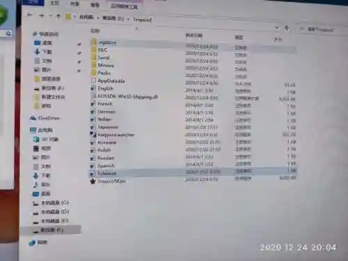 海岛大亨5怎么调中文(海岛大亨5秘籍)插图2 海岛大亨5怎么调中文(海岛大亨5秘籍)插图2
