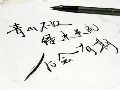 地牢围攻单机手机版(十大暗黑类单机游戏)插图10