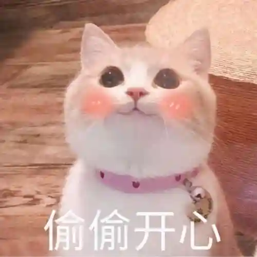 洛克王国宠物图鉴在哪看(洛克王国全部宠物大全)插图10 洛克王国宠物图鉴在哪看(洛克王国全部宠物大全)插图10