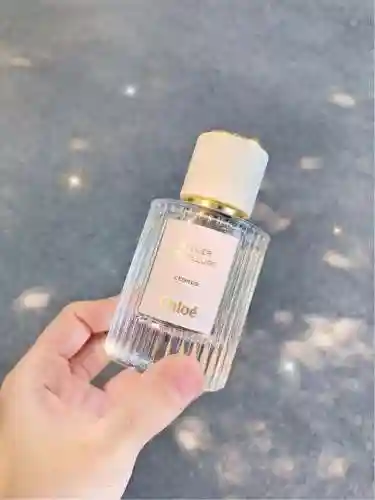 祈愿精灵搭配推荐阵容(口袋精灵最强阵容)插图1 祈愿精灵搭配推荐阵容(口袋精灵最强阵容)插图1