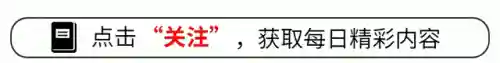 芭比娃娃阵容推荐搭配(芭比娃娃全部游戏大全)