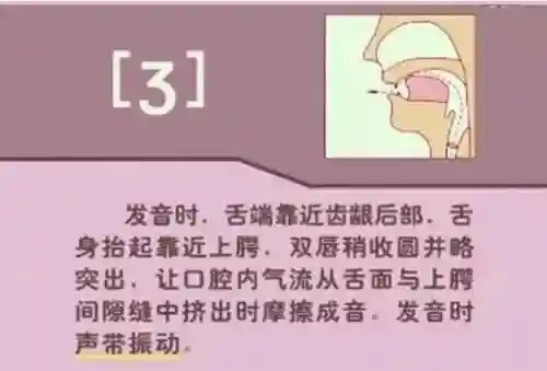 英语音标发音表(48个音标大全表图片)插图42
