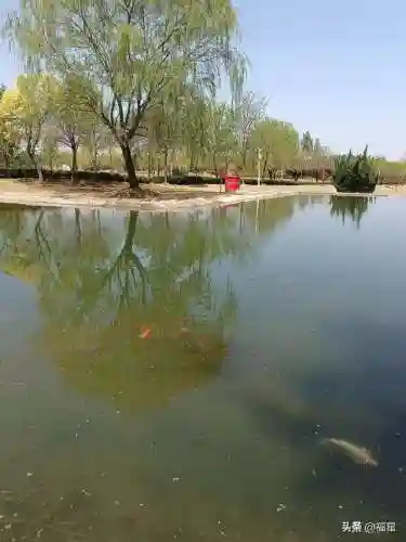 福星成就阵容搭配图片(八岐大蛇阵容搭配)插图2