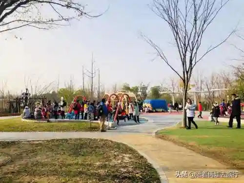 洛克王国紫藤快速获得(洛克王国紫藤150怎么弄)插图53