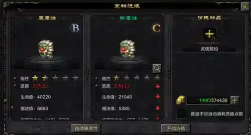 对战宠物推荐阵容搭配(qq飞车宠物对战什么宠物厉害)插图4