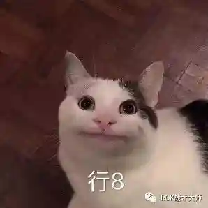 武田忠信阵容搭配图(心之钢阵容搭配)插图10
