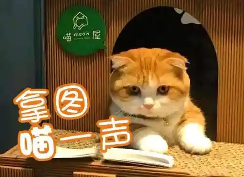 高达机甲战士阵容搭配(高达十大最帅机甲模型)插图33
