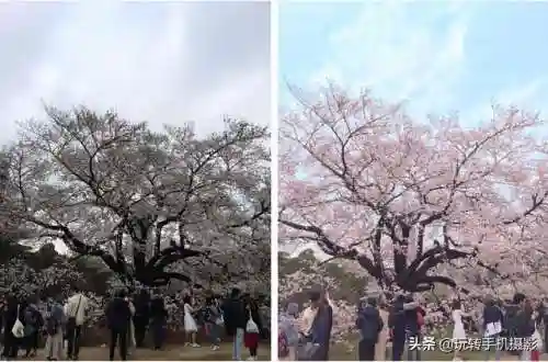 照片修图软件哪个好用(照片修图软件免费版)插图10 照片修图软件哪个好用(照片修图软件免费版)插图10