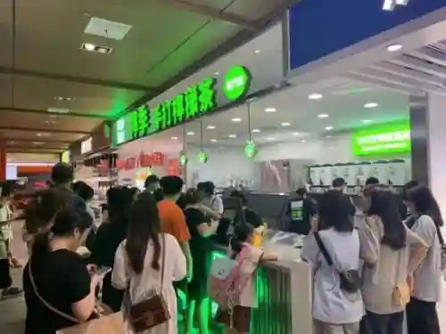 2022拉面熊阵容搭配(黑白双熊时期灰熊阵容)插图19