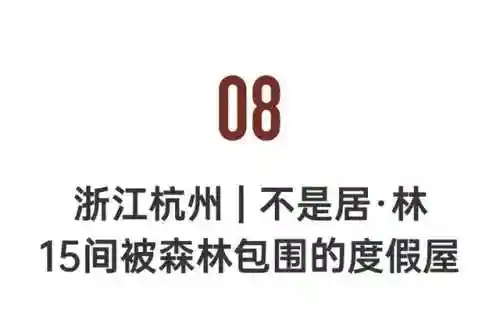 命名夜阑阵容怎么搭配(平民宵宫阵容搭配)插图70
