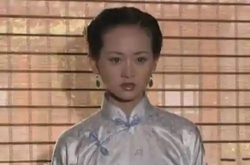 大宅门配角阵容搭配(大宅门全体演员表)插图10