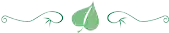 洛克王国独角兽进化紫藤(独角兽进化紫藤怎么获得)插图30