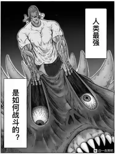饿狼开局阵容搭配图片(动物之战阵容推荐图)插图16 饿狼开局阵容搭配图片(动物之战阵容推荐图)插图16