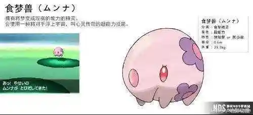 口袋妖怪神兽领域(神兽领域二周目怎么触发剧情)插图43