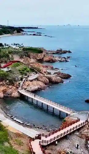 海岛25最强阵容搭配(海岛争霸什么阵容能打白胡子)插图11